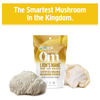 Om Mushroom Superfood Lion's Mane Organic Mushroom Powder